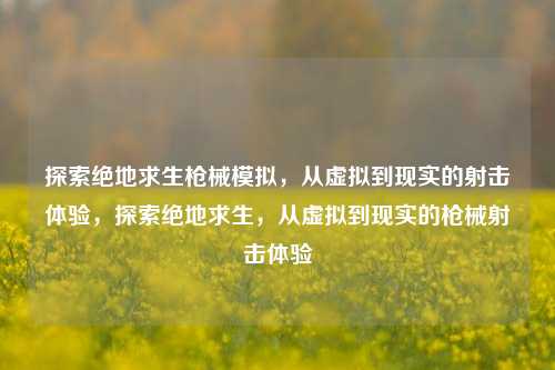 探索绝地求生枪械模拟，从虚拟到现实的射击体验，探索绝地求生，从虚拟到现实的枪械射击体验