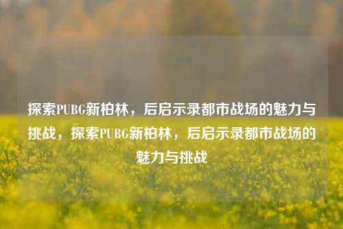 探索PUBG新柏林，后启示录都市战场的魅力与挑战，探索PUBG新柏林，后启示录都市战场的魅力与挑战