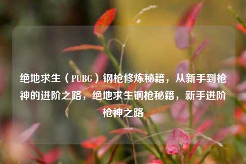 绝地求生（PUBG）钢枪修炼秘籍，从新手到枪神的进阶之路，绝地求生钢枪秘籍，新手进阶枪神之路