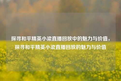 探寻和平精英小梁直播回放中的魅力与价值，探寻和平精英小梁直播回放的魅力与价值