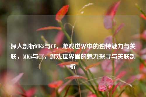 深入剖析MK5与CF，游戏世界中的独特魅力与关联，MK5与CF，游戏世界里的魅力探寻与关联剖析