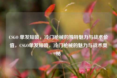 CSGO 单发短喷，冷门枪械的独特魅力与战术价值，CSGO单发短喷，冷门枪械的魅力与战术奥秘