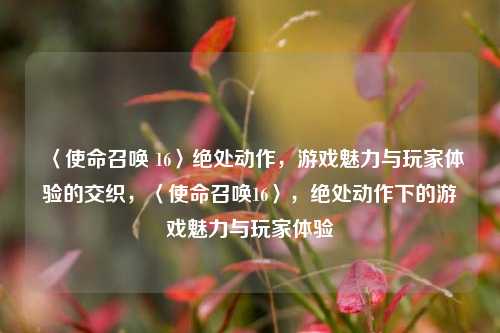 〈使命召唤 16〉绝处动作，游戏魅力与玩家体验的交织，〈使命召唤16〉，绝处动作下的游戏魅力与玩家体验