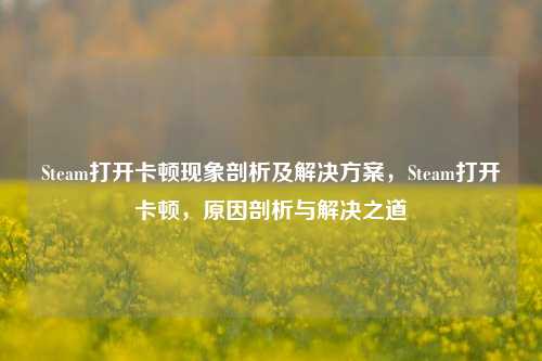 Steam打开卡顿现象剖析及解决方案，Steam打开卡顿，原因剖析与解决之道