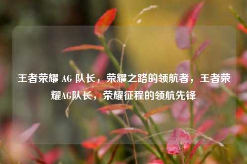 王者荣耀 AG 队长，荣耀之路的领航者，王者荣耀AG队长，荣耀征程的领航先锋