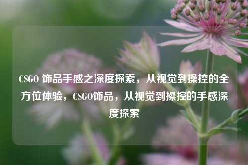 CSGO 饰品手感之深度探索，从视觉到操控的全方位体验，CSGO饰品，从视觉到操控的手感深度探索