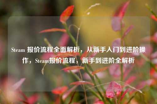 Steam 报价流程全面解析，从新手入门到进阶操作，Steam报价流程，新手到进阶全解析