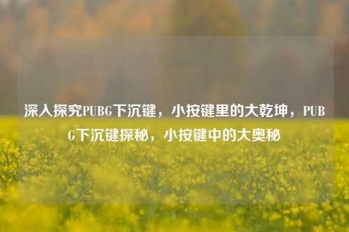 深入探究PUBG下沉键，小按键里的大乾坤，PUBG下沉键探秘，小按键中的大奥秘