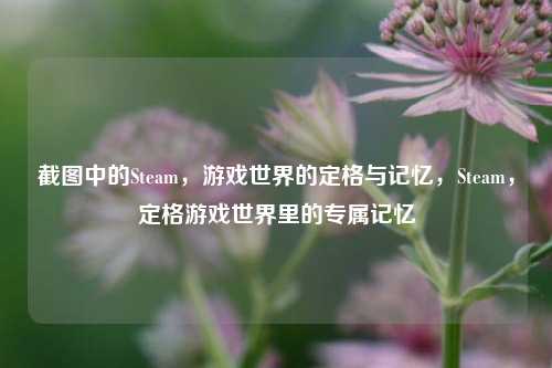 截图中的Steam，游戏世界的定格与记忆，Steam，定格游戏世界里的专属记忆