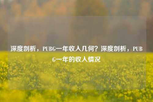 深度剖析，PUBG一年收入几何？深度剖析，PUBG一年的收入情况