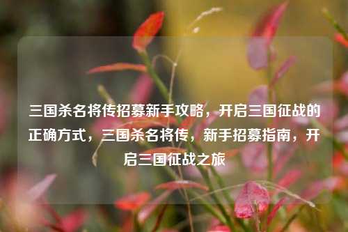 三国杀名将传招募新手攻略，开启三国征战的正确方式，三国杀名将传，新手招募指南，开启三国征战之旅