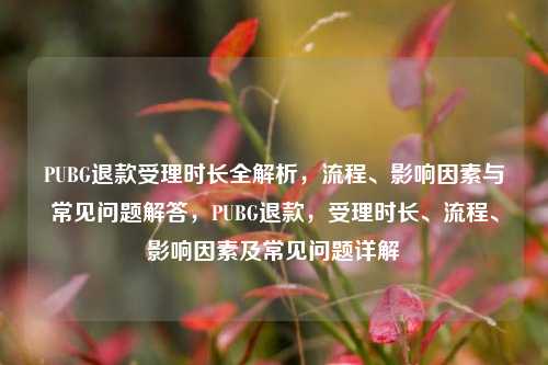 PUBG退款受理时长全解析，流程、影响因素与常见问题解答，PUBG退款，受理时长、流程、影响因素及常见问题详解