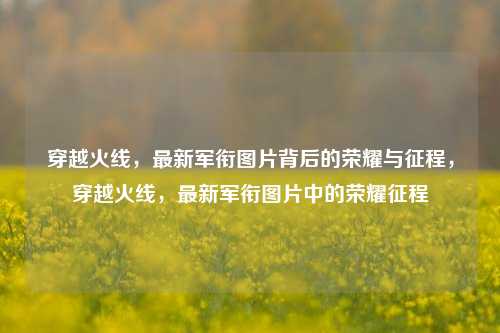 穿越火线，最新军衔图片背后的荣耀与征程，穿越火线，最新军衔图片中的荣耀征程