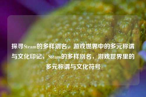 探寻Steam的多样别名，游戏世界中的多元称谓与文化印记，Steam的多样别名，游戏世界里的多元称谓与文化符号