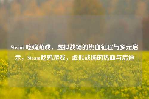 Steam 吃鸡游戏，虚拟战场的热血征程与多元启示，Steam吃鸡游戏，虚拟战场的热血与启迪