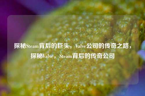 探秘Steam背后的巨头，Valve公司的传奇之路，探秘Valve，Steam背后的传奇公司