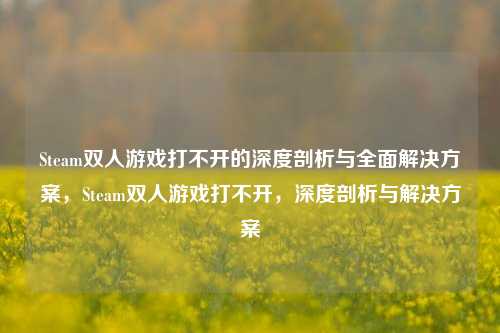Steam双人游戏打不开的深度剖析与全面解决方案，Steam双人游戏打不开，深度剖析与解决方案
