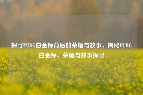 探寻PUBG白金标背后的荣耀与故事，揭秘PUBG白金标，荣耀与故事探寻