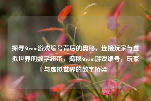 探寻Steam游戏编号背后的奥秘，连接玩家与虚拟世界的数字纽带，揭秘Steam游戏编号，玩家与虚拟世界的数字桥梁