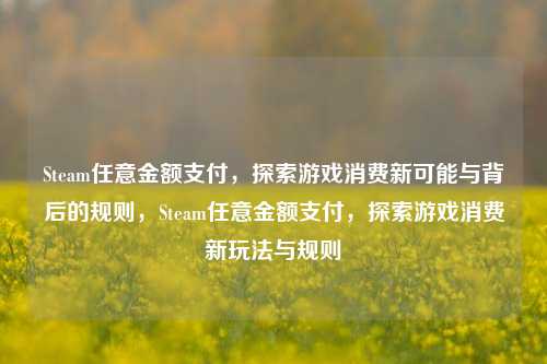 Steam任意金额支付，探索游戏消费新可能与背后的规则，Steam任意金额支付，探索游戏消费新玩法与规则