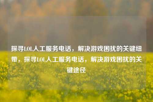 探寻LOL人工服务电话，解决游戏困扰的关键纽带，探寻LOL人工服务电话，解决游戏困扰的关键途径