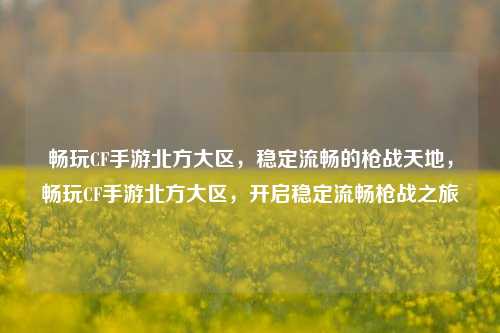 畅玩CF手游北方大区，稳定流畅的枪战天地，畅玩CF手游北方大区，开启稳定流畅枪战之旅