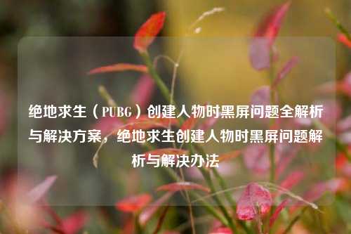 绝地求生（PUBG）创建人物时黑屏问题全解析与解决方案，绝地求生创建人物时黑屏问题解析与解决办法