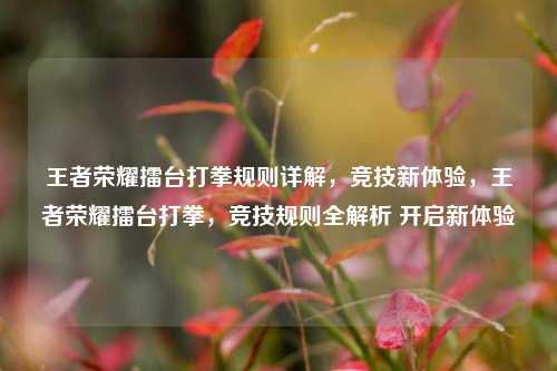 王者荣耀擂台打拳规则详解，竞技新体验，王者荣耀擂台打拳，竞技规则全解析 开启新体验