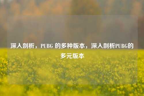 深入剖析，PUBG 的多种版本，深入剖析PUBG的多元版本