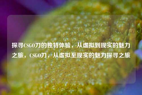 探寻CSGO刀的独特体验，从虚拟到现实的魅力之旅，CSGO刀，从虚拟至现实的魅力探寻之旅