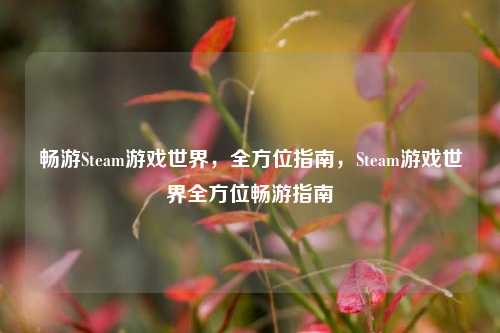 畅游Steam游戏世界，全方位指南，Steam游戏世界全方位畅游指南