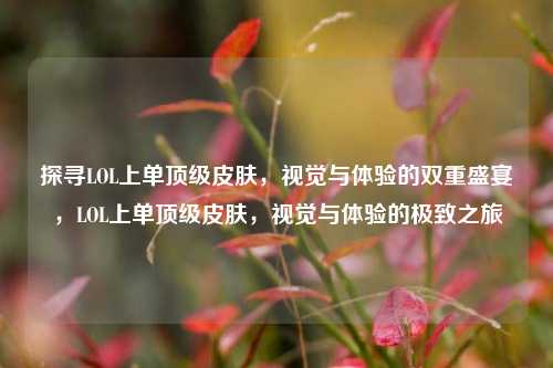探寻LOL上单顶级皮肤，视觉与体验的双重盛宴，LOL上单顶级皮肤，视觉与体验的极致之旅