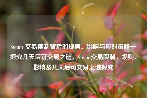 Steam 交易限制背后的规则、影响与应对策略—探究几天后可交易之谜，Steam交易限制，规则、影响及几天后可交易之谜探究