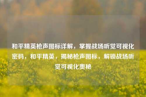 和平精英枪声图标详解，掌握战场听觉可视化密码，和平精英，揭秘枪声图标，解锁战场听觉可视化奥秘