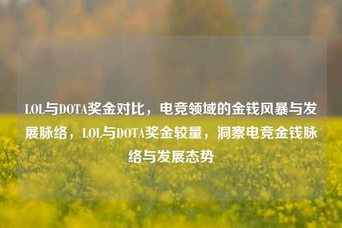 LOL与DOTA奖金对比，电竞领域的金钱风暴与发展脉络，LOL与DOTA奖金较量，洞察电竞金钱脉络与发展态势