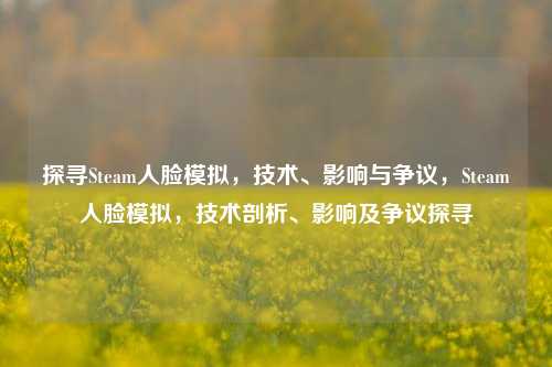 探寻Steam人脸模拟，技术、影响与争议，Steam人脸模拟，技术剖析、影响及争议探寻