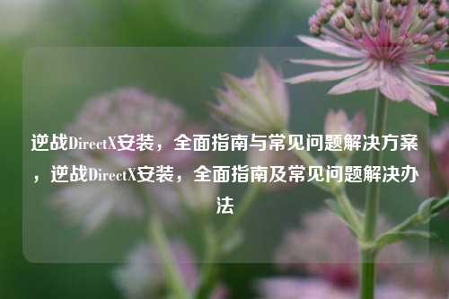 逆战DirectX安装，全面指南与常见问题解决方案，逆战DirectX安装，全面指南及常见问题解决办法