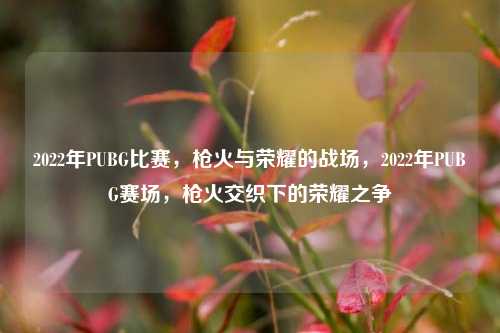 2022年PUBG比赛，枪火与荣耀的战场，2022年PUBG赛场，枪火交织下的荣耀之争