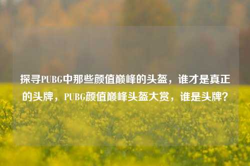 探寻PUBG中那些颜值巅峰的头盔，谁才是真正的头牌，PUBG颜值巅峰头盔大赏，谁是头牌？