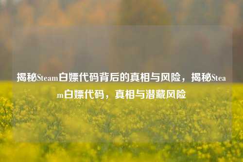 揭秘Steam白嫖代码背后的真相与风险，揭秘Steam白嫖代码，真相与潜藏风险