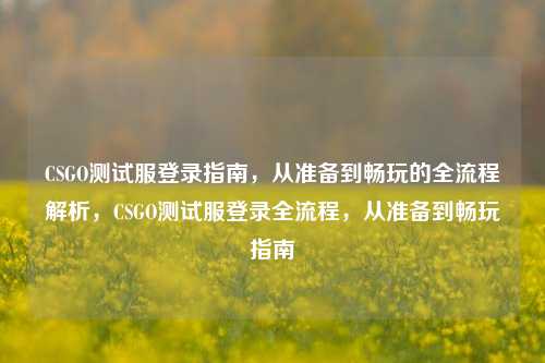 CSGO测试服登录指南，从准备到畅玩的全流程解析，CSGO测试服登录全流程，从准备到畅玩指南