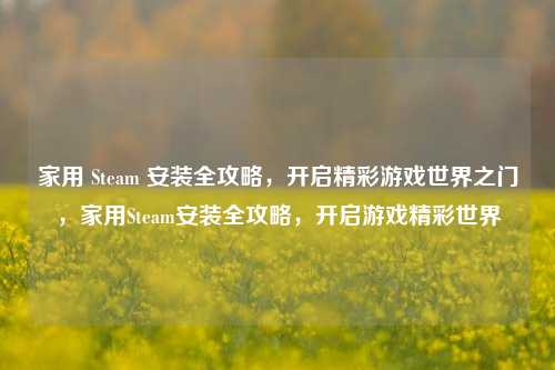 家用 Steam 安装全攻略，开启精彩游戏世界之门，家用Steam安装全攻略，开启游戏精彩世界