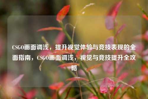 CSGO画面调浅，提升视觉体验与竞技表现的全面指南，CSGO画面调浅，视觉与竞技提升全攻略