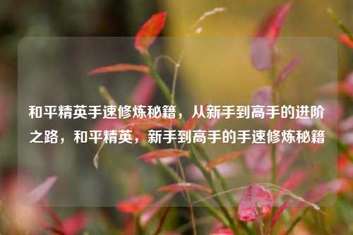 和平精英手速修炼秘籍，从新手到高手的进阶之路，和平精英，新手到高手的手速修炼秘籍