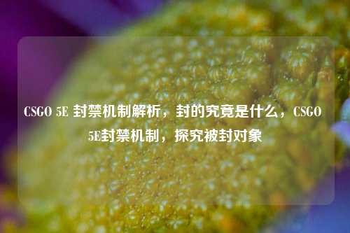 CSGO 5E 封禁机制解析，封的究竟是什么，CSGO 5E封禁机制，探究被封对象