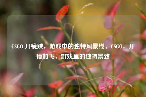 CSGO 开镜贼，游戏中的独特风景线，CSGO，开镜如飞，游戏里的独特景致