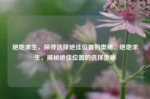 绝地求生，探寻选择绝佳位置的奥秘，绝地求生，揭秘绝佳位置的选择奥秘