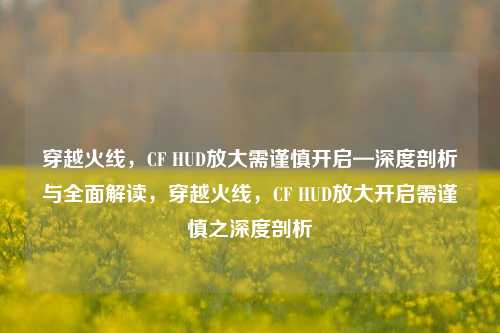 穿越火线，CF HUD放大需谨慎开启—深度剖析与全面解读，穿越火线，CF HUD放大开启需谨慎之深度剖析
