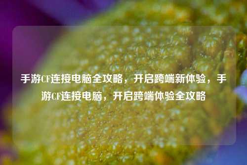 手游CF连接电脑全攻略，开启跨端新体验，手游CF连接电脑，开启跨端体验全攻略