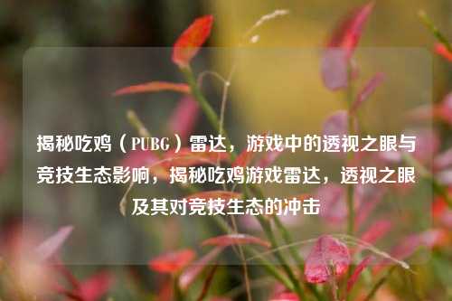 揭秘吃鸡（PUBG）雷达，游戏中的透视之眼与竞技生态影响，揭秘吃鸡游戏雷达，透视之眼及其对竞技生态的冲击